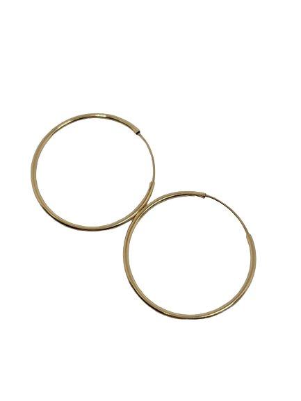 14k Gold Hoops 1