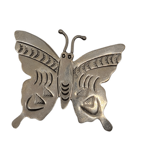 Southwestern Sterling Butterfly