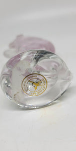 Glass Pink Seahorse,  Glows