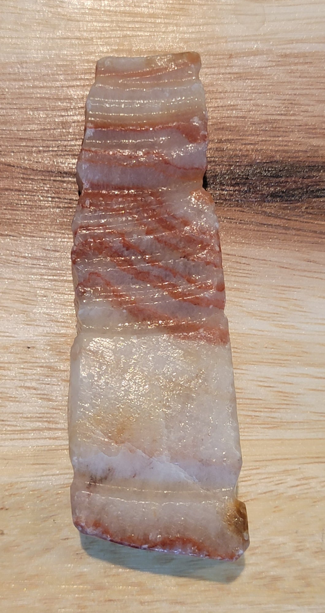 Rare Polished Pork Stone